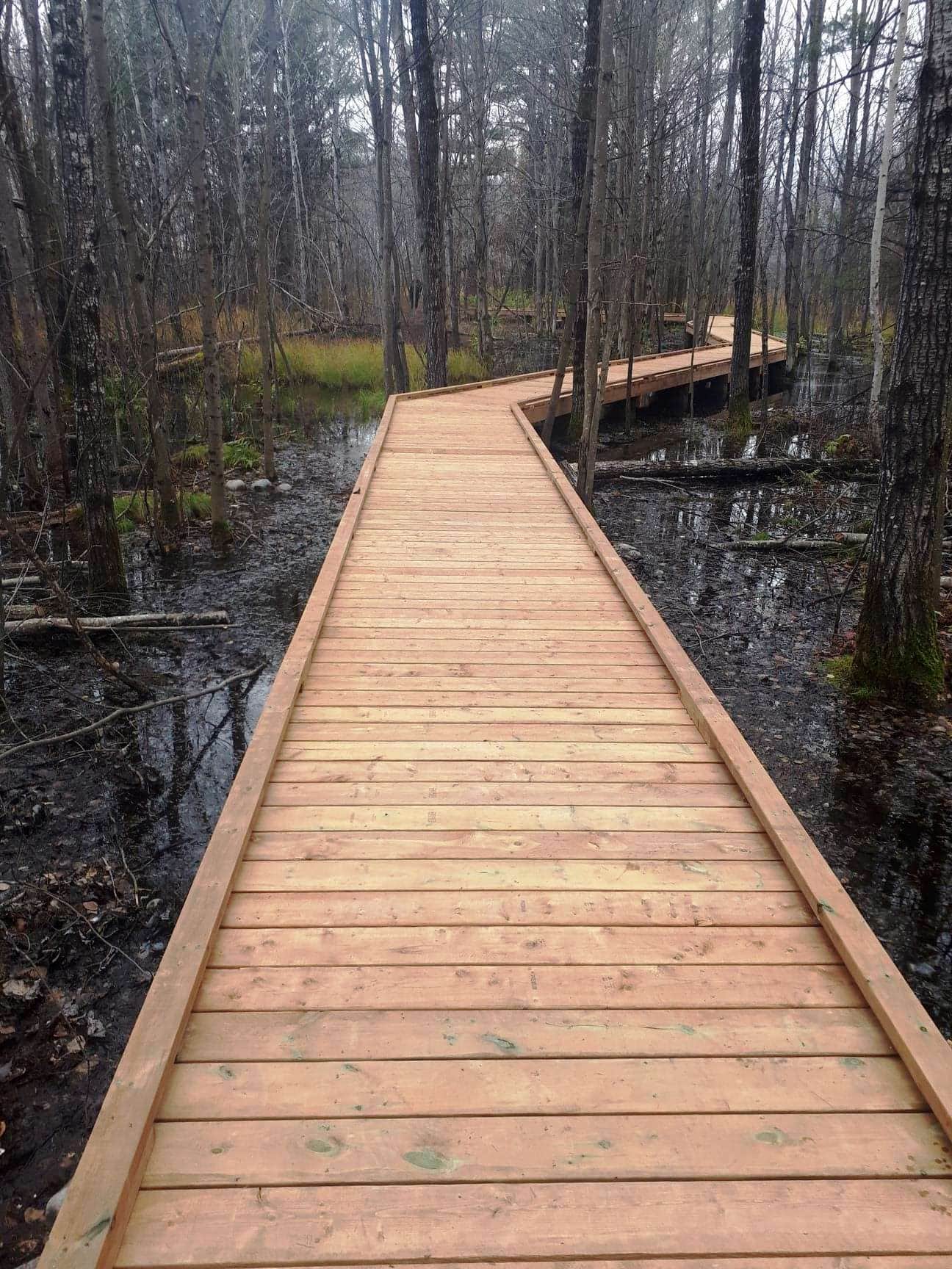 Boardwalk 2